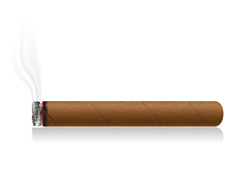 burning cigar vector illustration