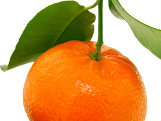 Ripe tangerine with green leaves macro. Isolated on white