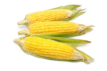 Fresh organic corn