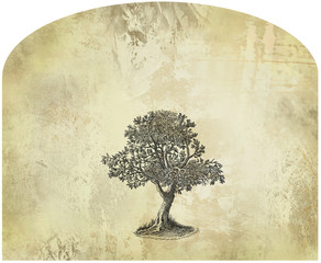 Old tree illustration - 50448826