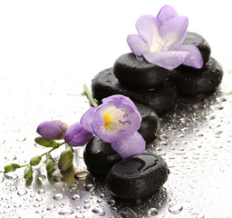 Obraz na płótnie Canvas Spa stones and purple flower, on wet background