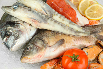 Fresh seafood on ice