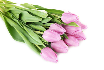 Beautiful bouquet of purple tulips, isolated on white