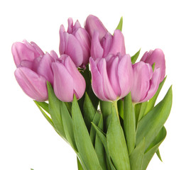 Beautiful bouquet of purple tulips, isolated on white