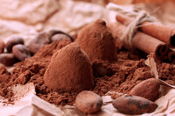 Composition of chocolate  truffles, cocoa and spices
