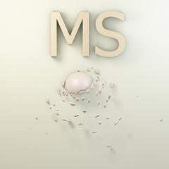 MS - 3D Render
