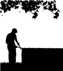 Gardener trimming a hedges with big shears silhouette