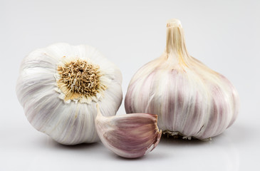 Garlic 14