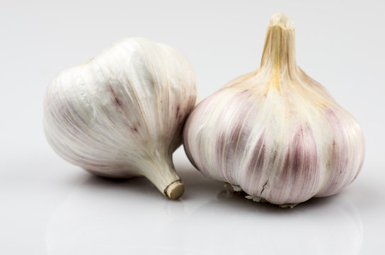 Garlic 23