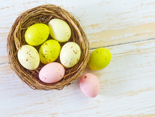color eggs