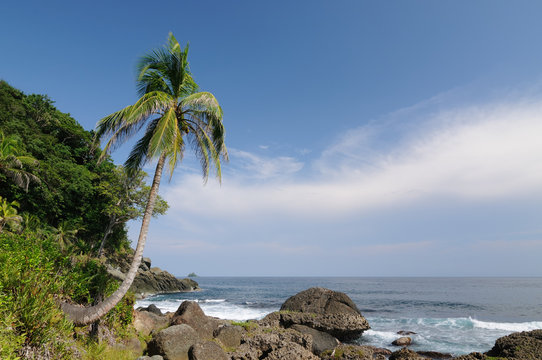 Wild Colombian Caribbean coast near Capurgana