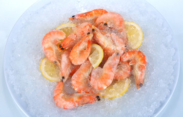 Shrimps on ice in plate isolated on white