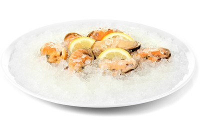 Mussels on ice in plate isolated on white