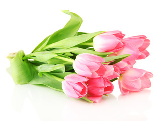 Pink tulips isolated on white