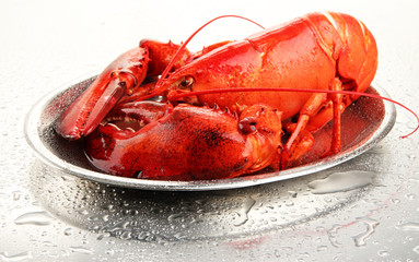 Red lobster on tray, on grey background
