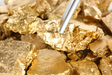 Tweezers holding golden nugget close-up