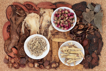Traditional Chinese Medicine