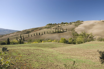 Tuscany countryside