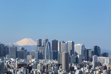 Obraz premium 東京都心から富士山を望む