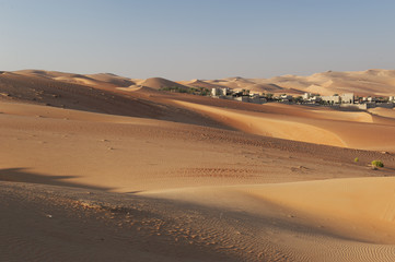 Fototapeta na wymiar Abu Dhabi pustynia wydmy