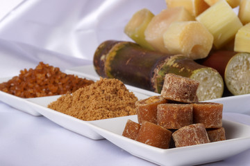 Various kinds of sugar and sugar cane