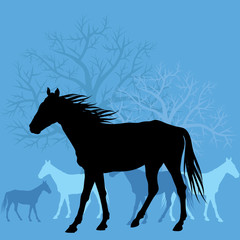 Horses in field vector background