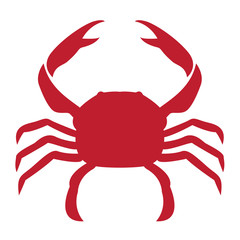 Vector image of an crab on white background