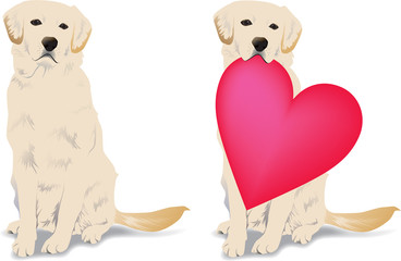 ラブラドルレトリバー