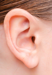 ear  of a young woman