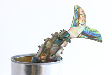 Sardine into the can