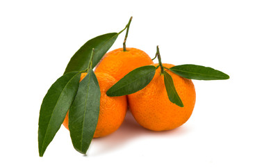 tangerines isolated
