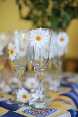 Glasses with Chamomiles