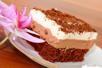 piece of chocolate cake