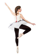Obraz premium dance swan position