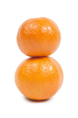 fruits on the white background