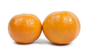 fruits on the white background