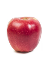 apples on the white background