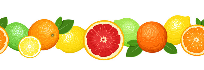 Horizontal seamless background with citrus fruits. Vector.