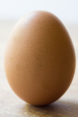 Egg