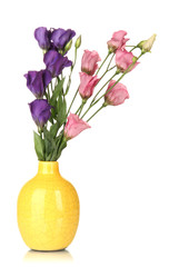 Bouquet of eustoma flowers in vase isolated on white