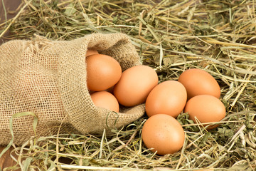 Jajka w worku © CUKMEN