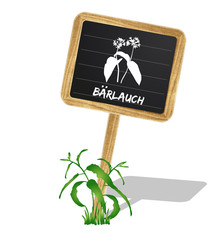 Bärlauch Schildchen Vektor