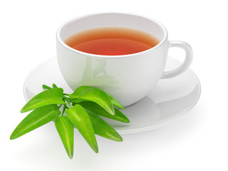 Teacup with leafs isolated