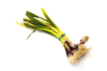 tender garlic