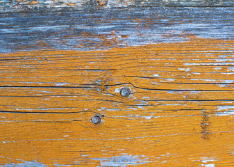 Naklejka premium Painted wood texture
