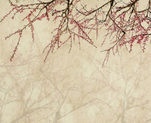 plum blossom on old antique vintage paper background