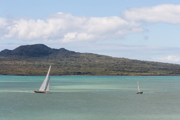 rangitoto island with sailing yachts