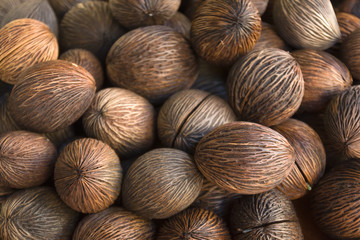 Group Root of Pong Pong Tree