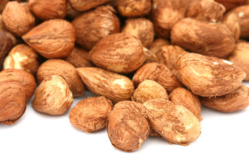 Many hazel nuts on white background