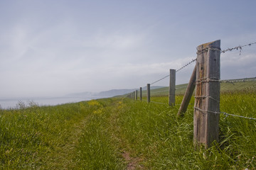 Fototapeta premium The South West Coast Path in Dorset